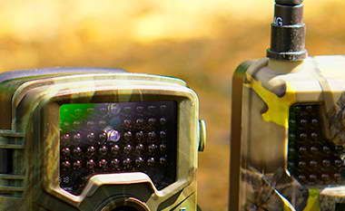 Вопросы о фотоловушках.