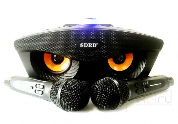 Колонка караоке OWL SDRD SD-306 с микрофонами