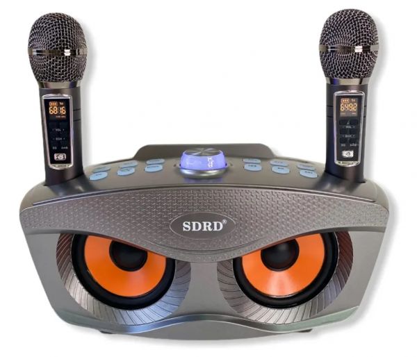 Портативная караоке система SDRD SD-306 Plus с двумя микрофонами