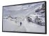 Влагостойкий уличный Smart Ultra HD (4K) LED телевизор AVS430OT 43"