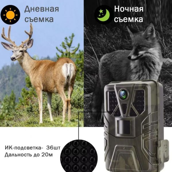 Фотоловушка Teltos ФР 90° 4G Online